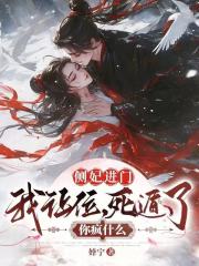 侧妃进门我让位，死遁了你疯什么